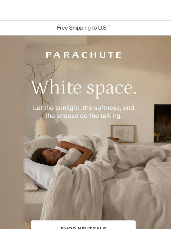 The light palette