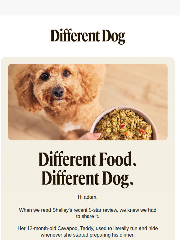 A payday treat for your dog + 40% off