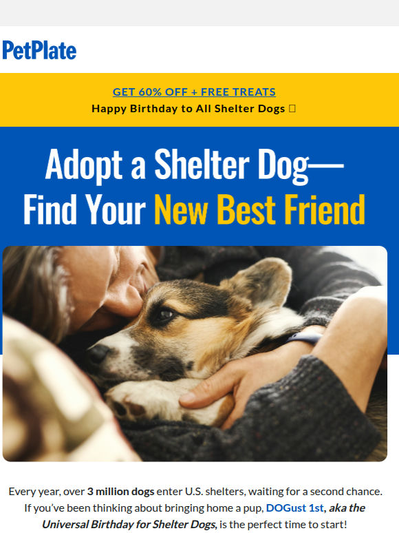 Celebrate Shelter Dogs Today! 🏡