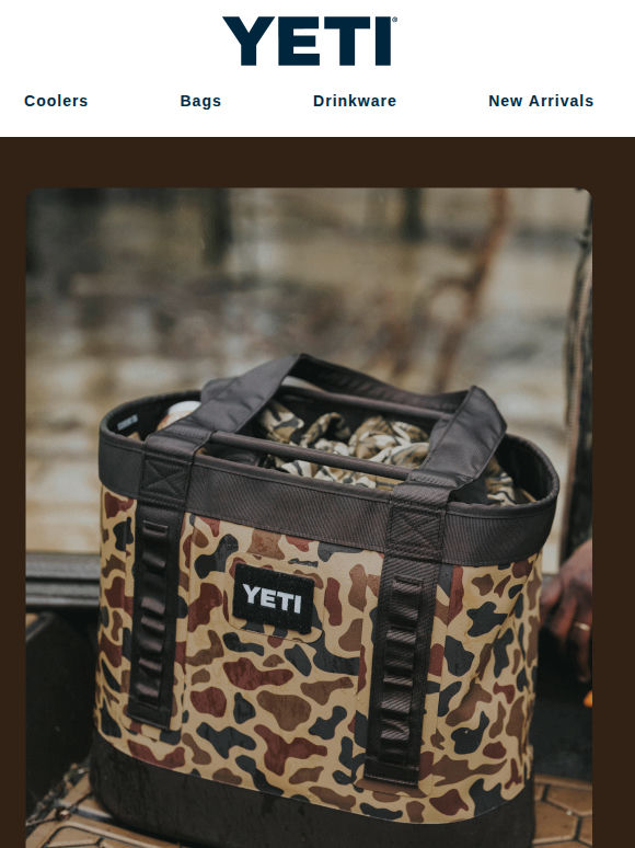 The Wetlands Collection Returns