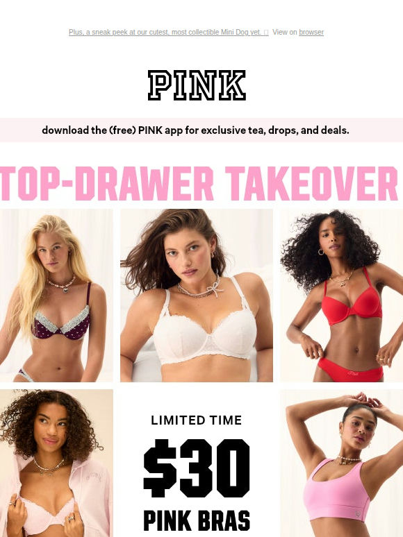 Support Re-Up: $30 PINK Bras