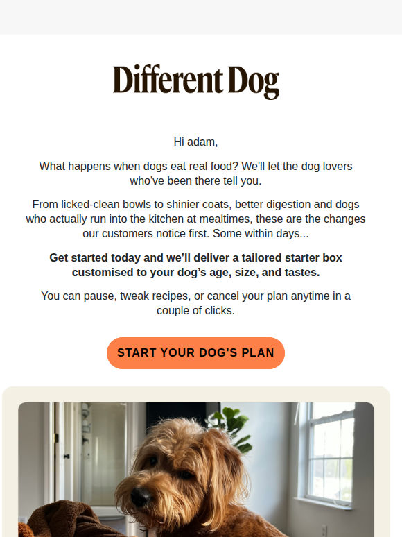 See what real food did for these dogs. Could your dog be next?