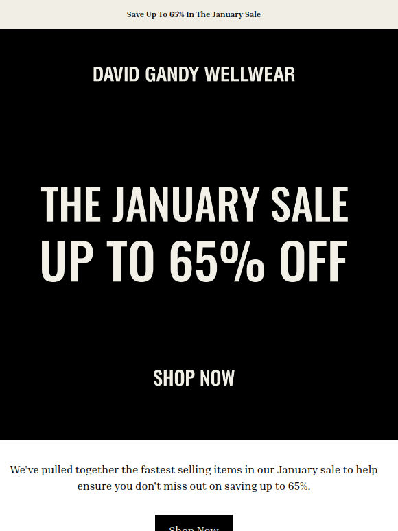 Selling Fast In The January Sale