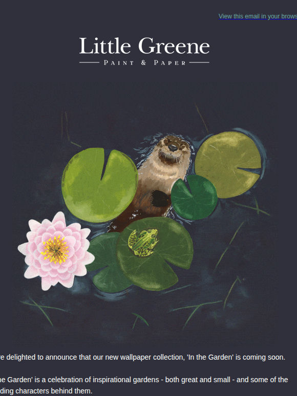 A new collection, coming soon...