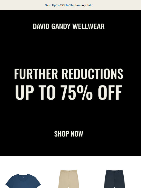 Almost Gone: The January Sale