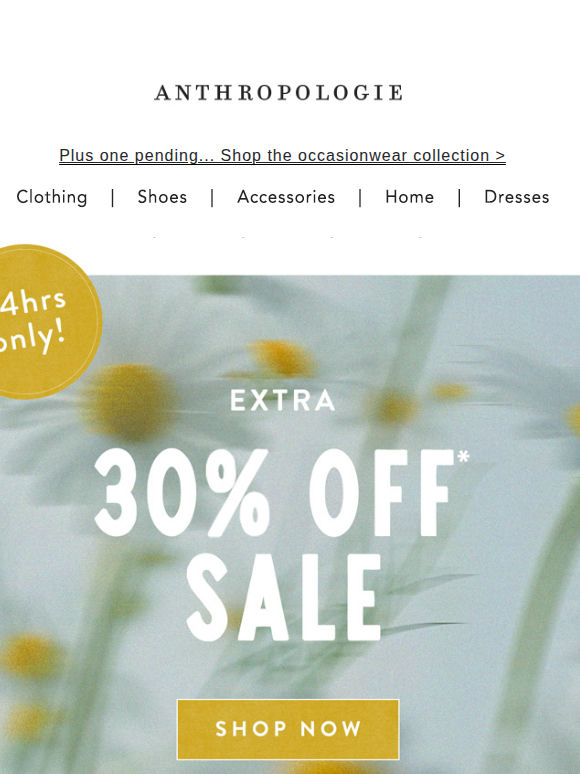 Extra 30% off sale ends midnight