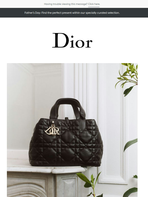 Dior bags: iconic silhouettes and new shapes