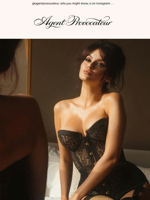 New follower request