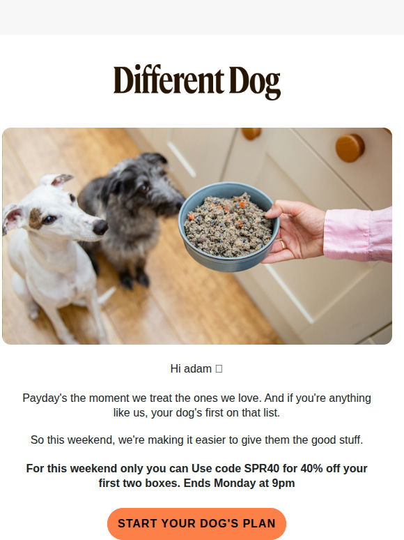 It's payday. your dog's first on the list. 🐶❤️