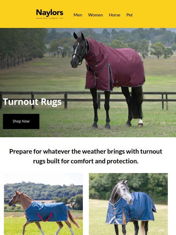 Weather Ready Rugs