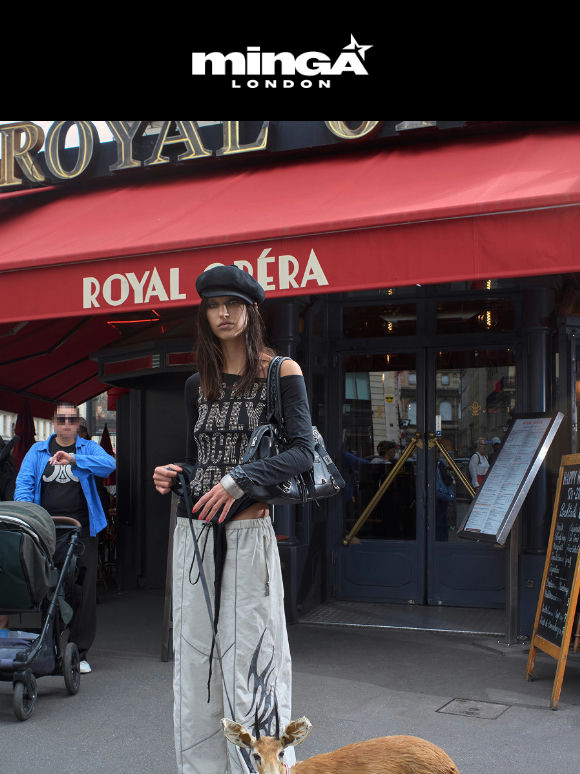 A CASUAL DOG WALK IN PARIS