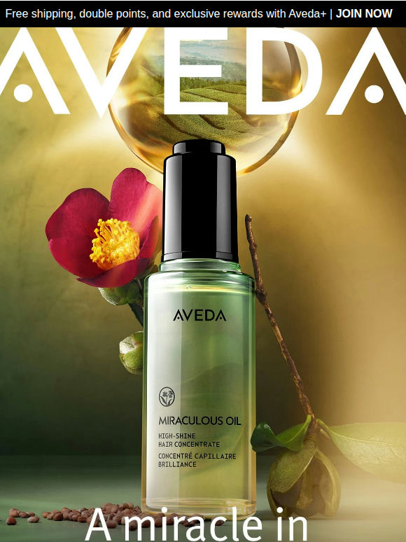 Discover Our Miraculous Oil