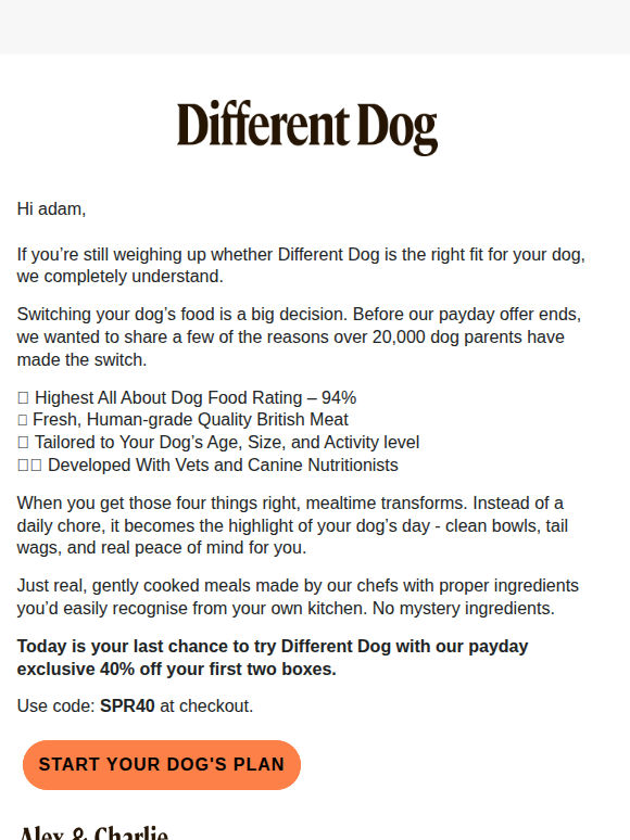 What makes Different Dog... different?