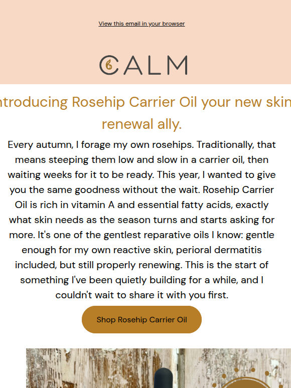 Introducing Rosehip Carrier Oil 🌿
