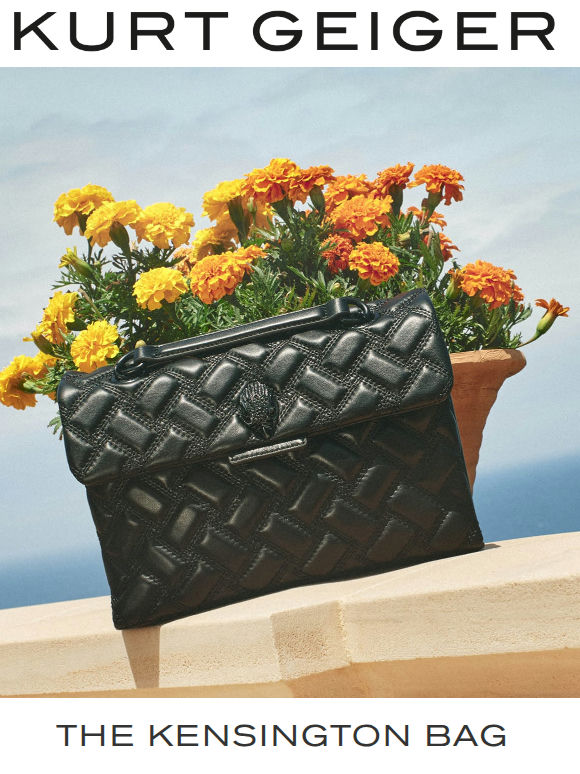 The Bag Everyone Wants