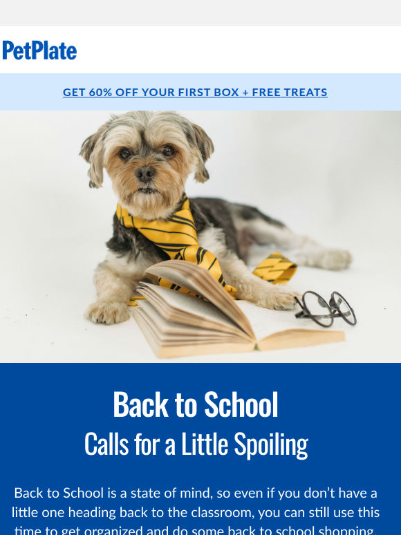 Back to school? Don't forget your other child 🐶