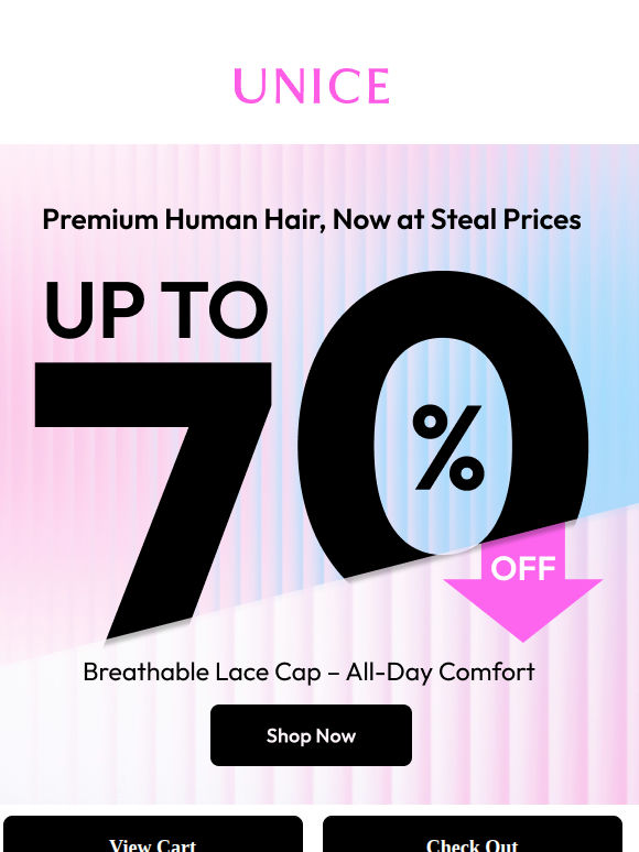 Was $263, Now $79 get a natural black HD lace wig!