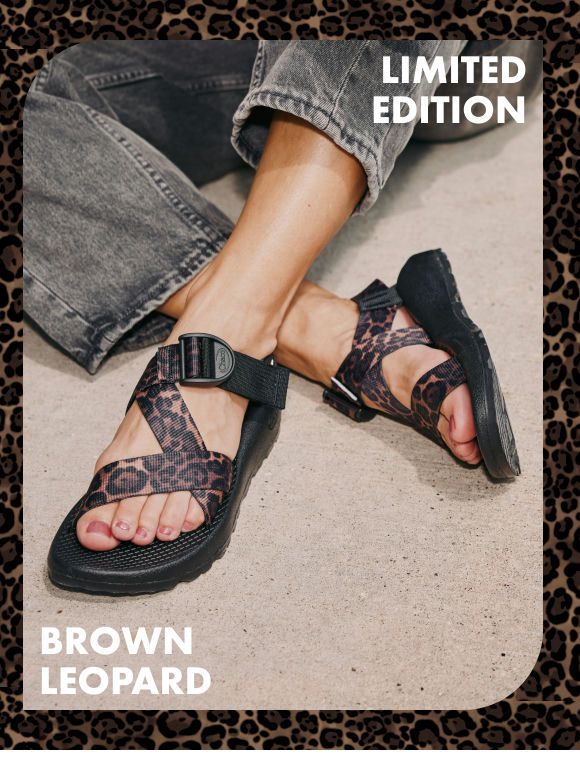 Spotted: Brown Leopard in Mega/Z returns!