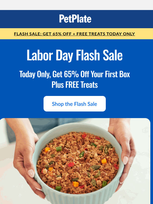 🚨 Labor Day Flash Sale: 65% OFF + Free Treats