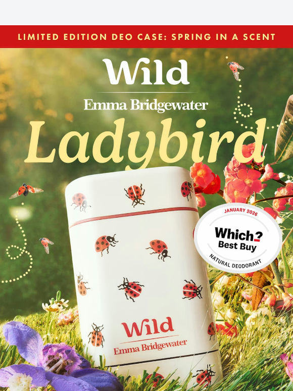 Attention, Ladybirds all over this email🐞