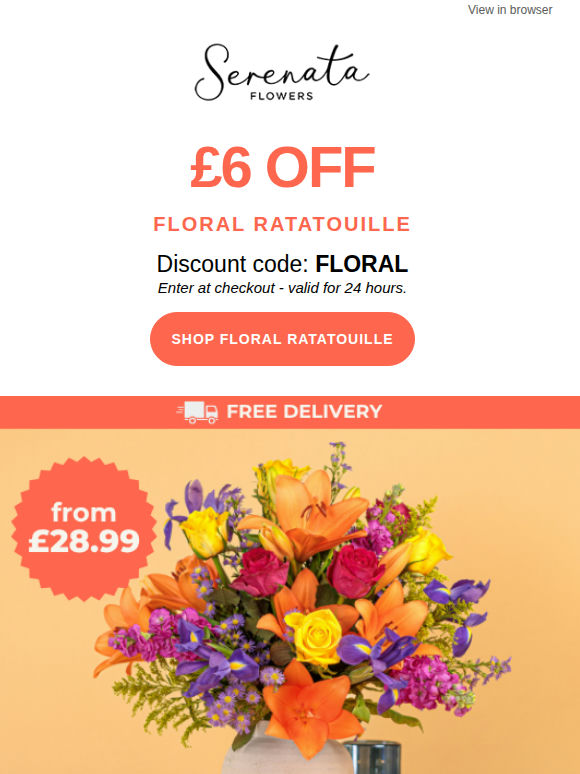 ⚡24h Flash Sale - Floral Ratatouille🌈