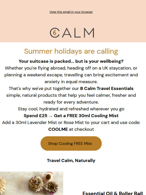 Your Calm Travel Essentials ✈️
