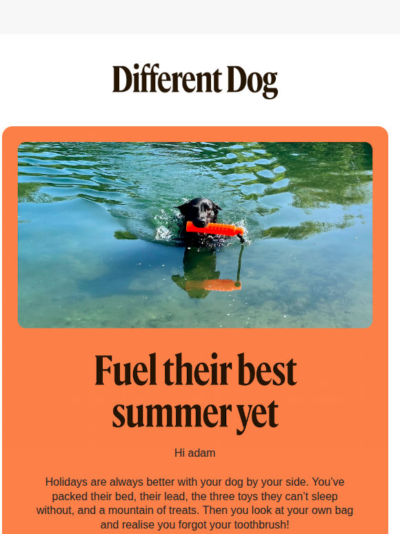 Planning a summer getaway with your dog? ☀️🐾