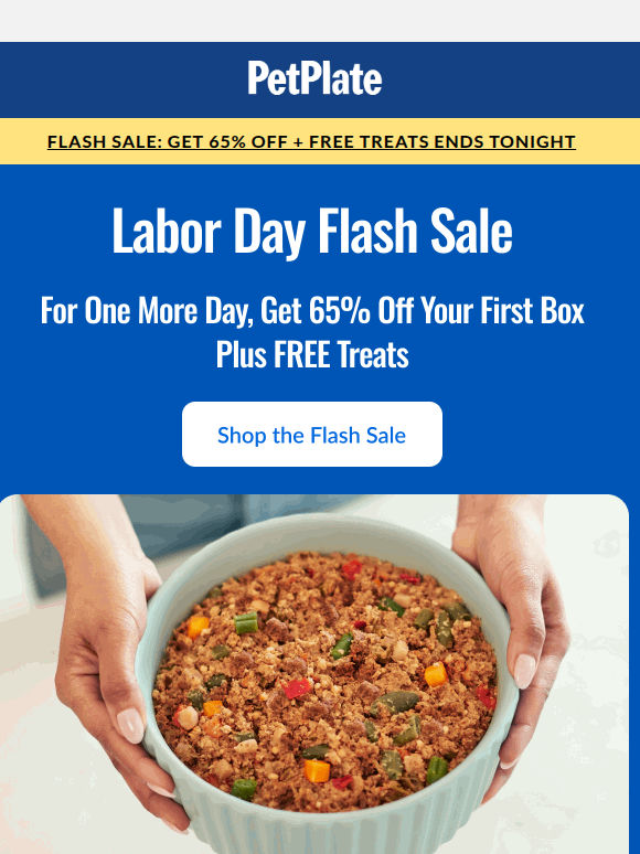 🤩 65% OFF + Free Treats: EXTENDED ONE MORE DAY