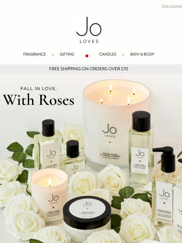 A Celebration of Rose