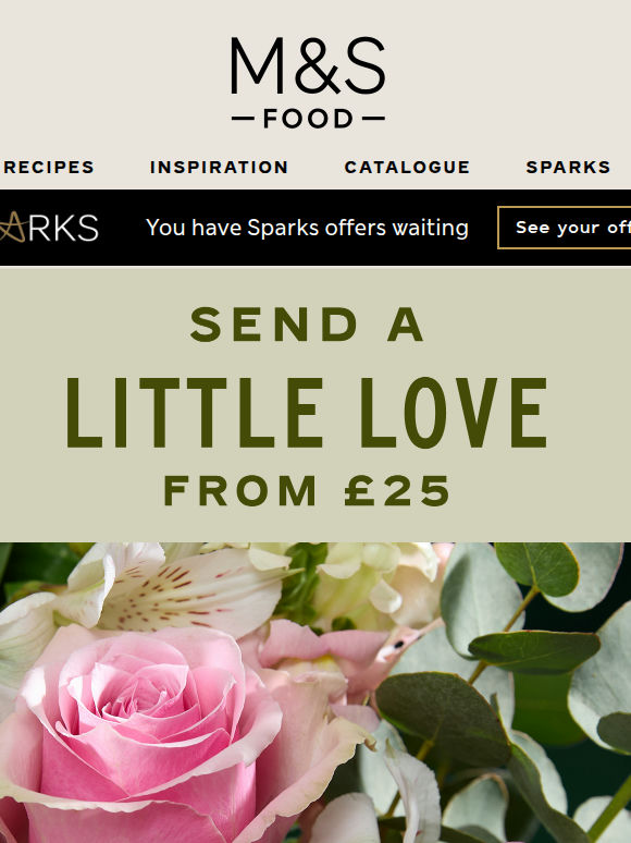 Beautiful blooms delivered from £25