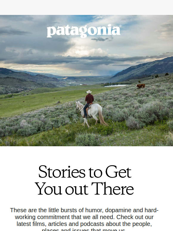 Stories and films we think you'll enjoy
