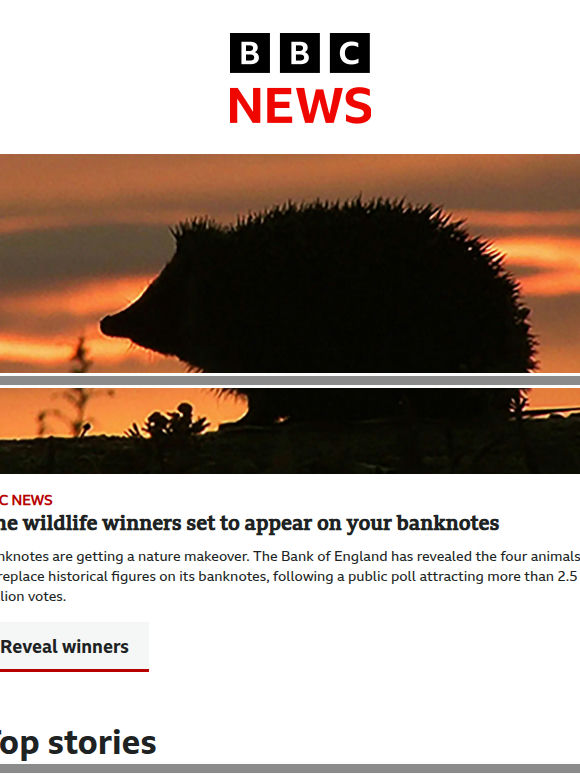 Wildlife winners set to appear on banknotes 🦔 | Asos hackers took more personal details than first revealed | Royal Navy service member charged with spying | Christa Pike now walking after failed execution