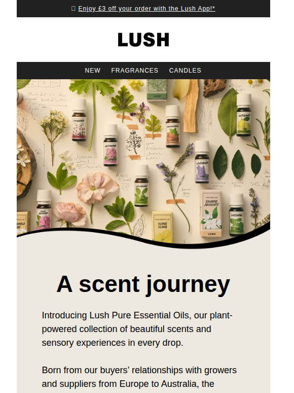 Introducing Lush Pure Essential Oils
