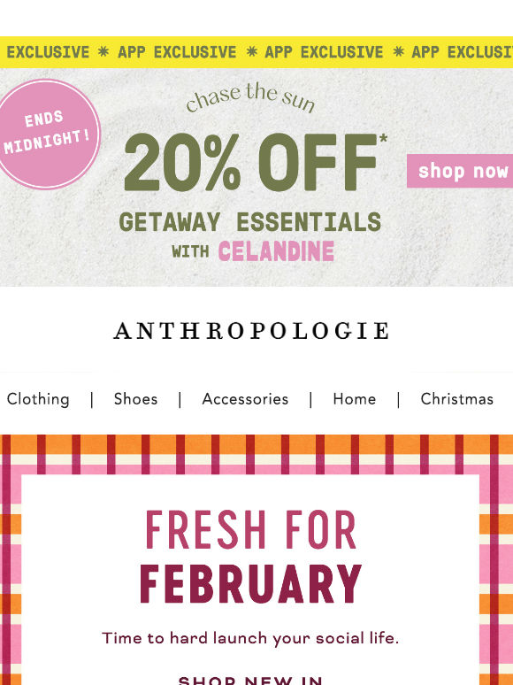 NEW February Favourites 👉