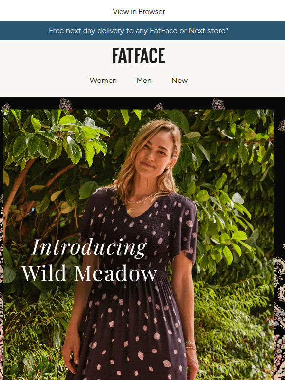 Discover Wild Meadow 🌿