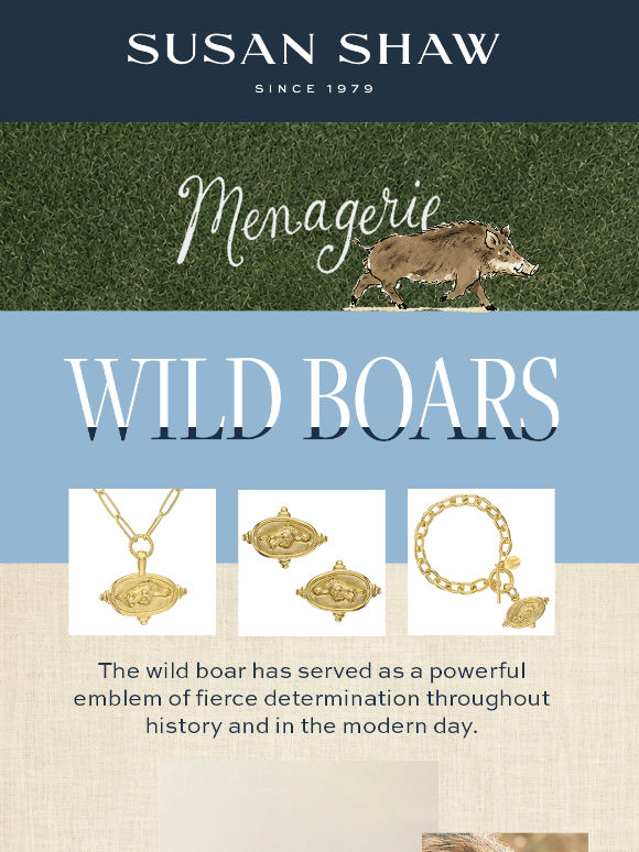 The Menagerie: Wild Boars