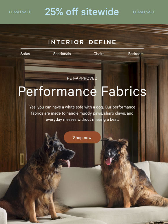 Yes, you can have a white sofa with a dog