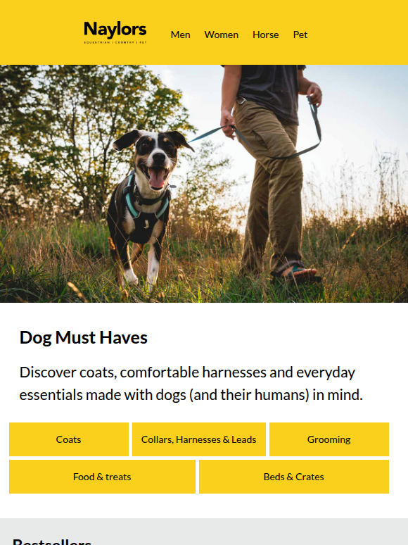 Dog Must Haves | Hydration, Harnesses & Healthcare