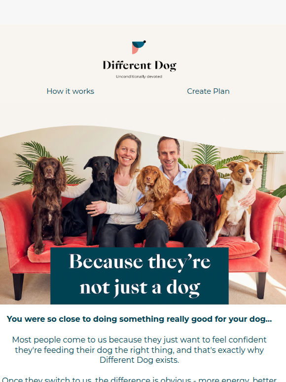 your dog's plan is ready when you are 🙂