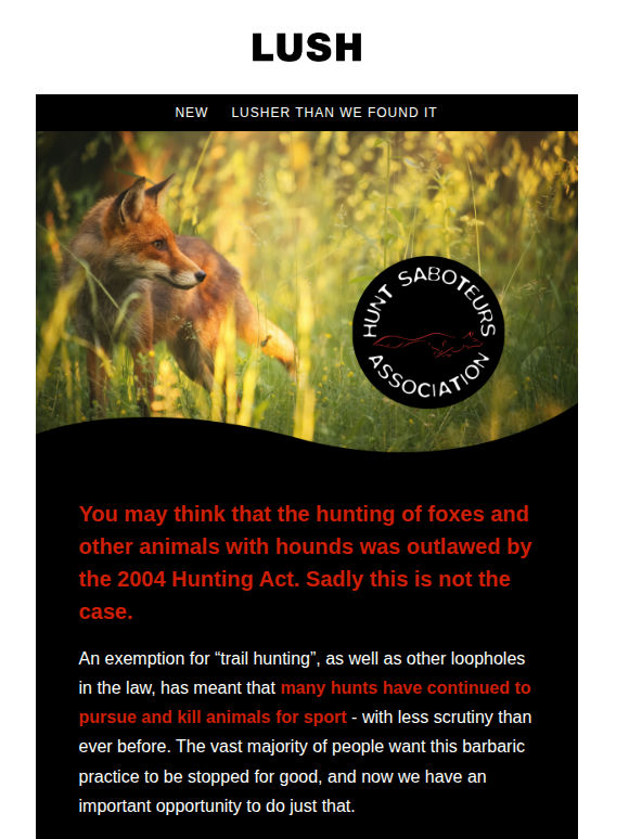 We need your help to ban hunting once and for all 🦊