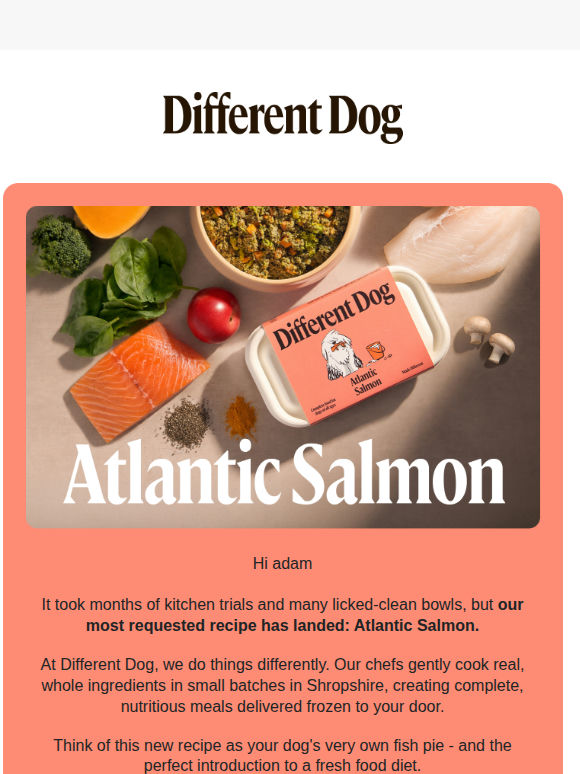 Something fishy's going on adam