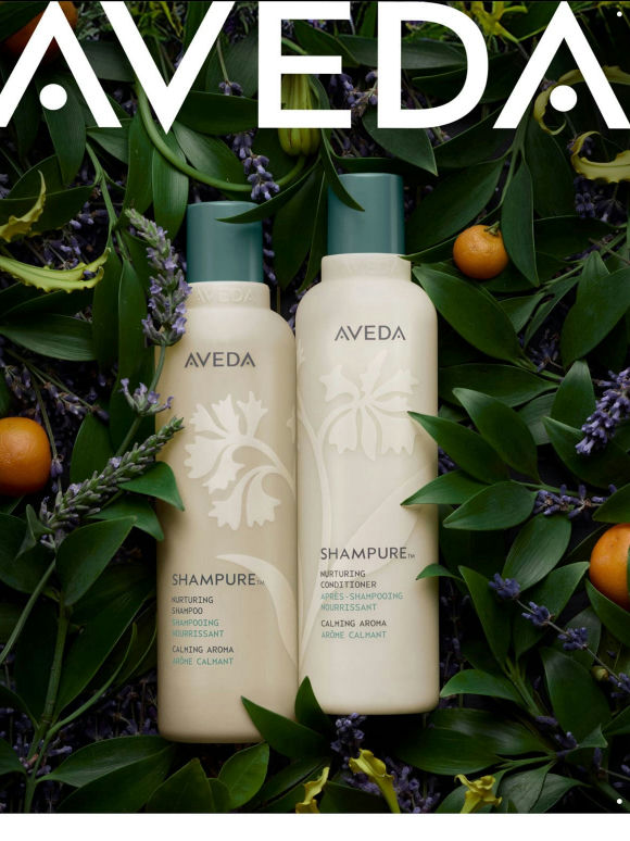Shampure™ favorites are 25% off for a limited time