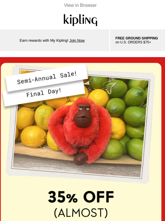 Final Day! 35% Off Almost Everything!