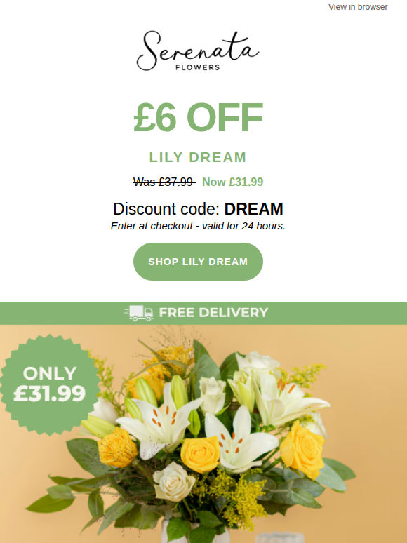⚡24h Flash Sale - Lily Dream 🤍
