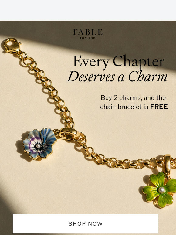 Buy 2 Charms, Get the Bracelet Free