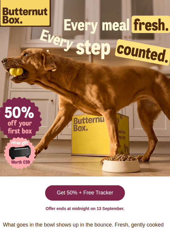 Try fresh. Fetch a free Tractive tracker