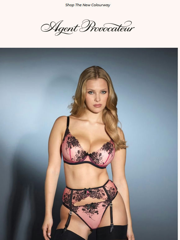 New In: The Return Of Elvie 💕