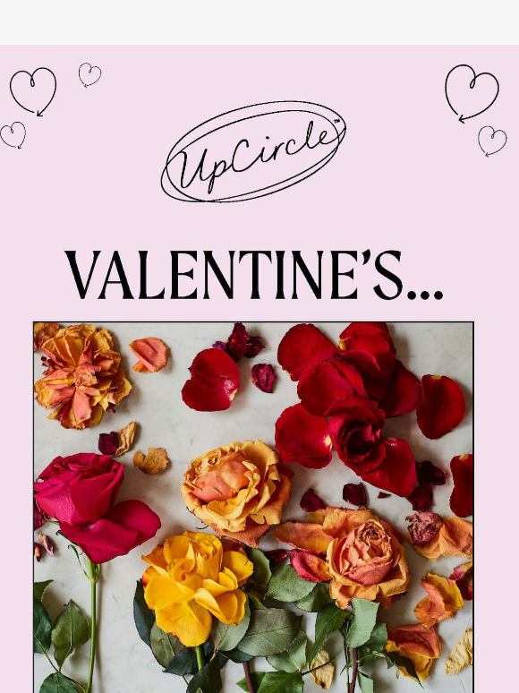 UpCircler, Before You Buy the Bouquet...🌹