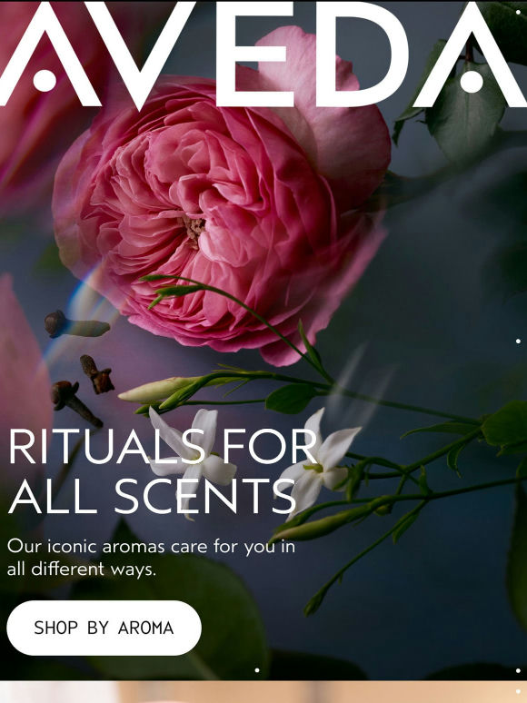 Which aroma do you need?