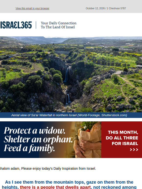 Poor, Foolish American Jews